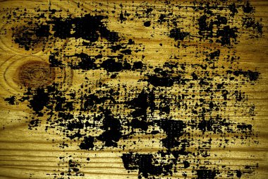 Tahta yüzey tasarım öğeleri için kesme Ultra sarı ahşap doku,