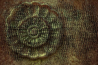 Süslü taş doku, daire rock şekil, web sitesi veya mobil cihazlar için arka plan