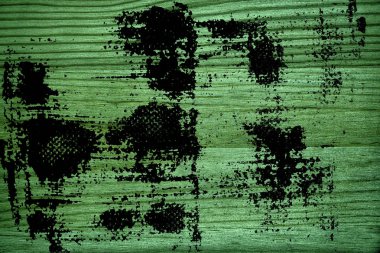 Tahta yüzey tasarım öğeleri için kesme Ultra yeşil ahşap doku,