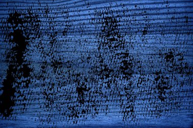 Tahta yüzey tasarım öğeleri için kesme kirli Ultra mavi ahşap doku,