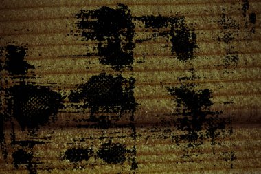 Grunge tekniği ahşap doku, boş tahta arka plan