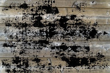 Boş ahşap doku, basit arka plan.