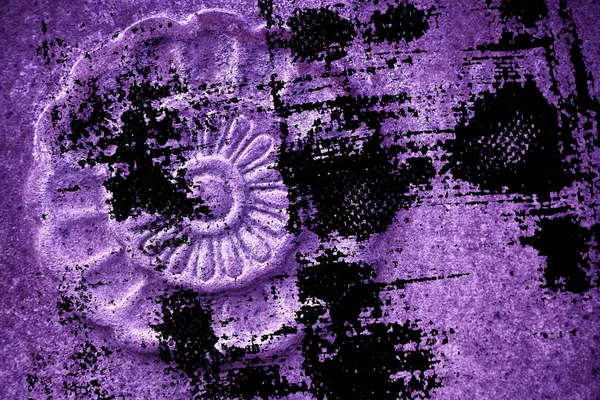 Grunge Ultra purple Ornate stone texture, circle rock shape, background for web site or mobile devices — Stock Photo, Image