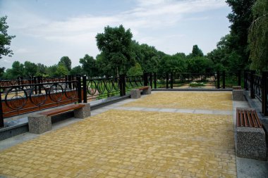 Çim tezgah ve yeşil ağaç, dinlenmek için bir yer ile kamu parki.