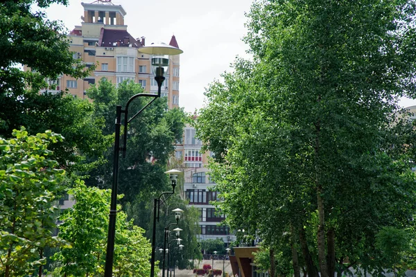 Общественный парк с лавочкой и зелеными деревьями, место для отдыха . — стоковое фото