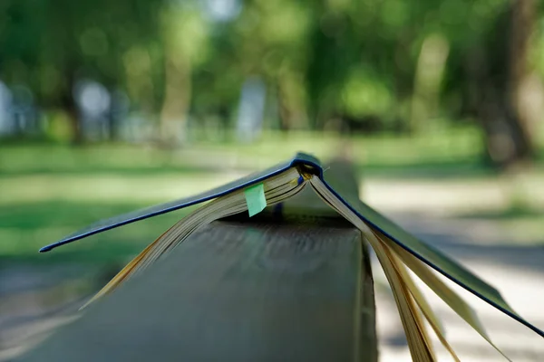Wind turns the pages of open Notebook lies on wooden handrail in park, business concept — Stock Photo, Image