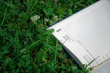 Park yeşil çimenlerin üzerinde açık not defteri