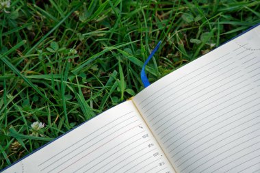 Park yeşil çimenlerin üzerinde açık not defteri