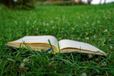 Park yeşil çimenlerin üzerinde açık defter