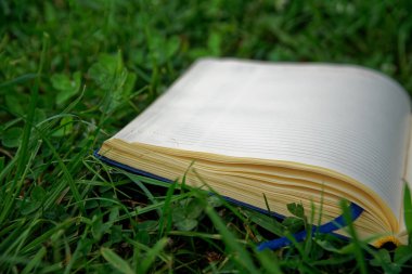 Park yeşil çimenlerin üzerinde açık not defteri