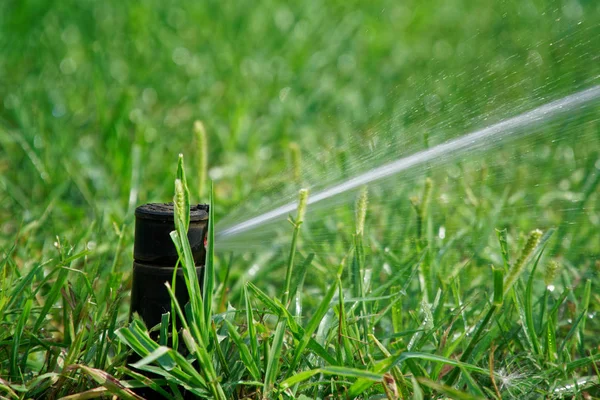 Sprinkler system watering grass in park, splash water — Stock Photo, Image