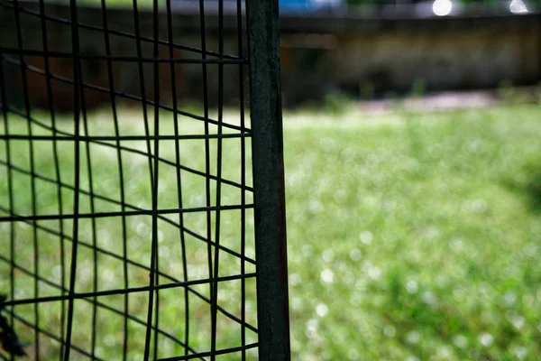 Mesh vak tegen groen gras, concept achtergrond — Stockfoto