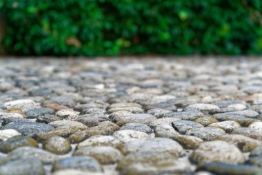 Çakıl taşları antik zemin çim arka plan, closeup büyük taşlar ile.