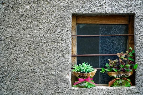 Janelas vintage com malha de aço e flores decorativas — Fotografia de Stock