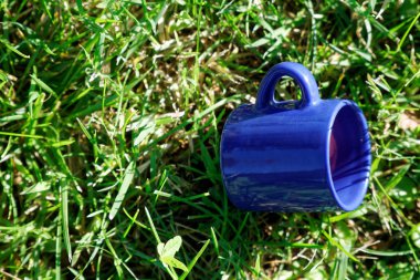 Boş çay bardağı yeşil çimenlerin üzerinde duruyor