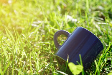 Boş çay bardağı yeşil çimenlerin üzerinde duruyor