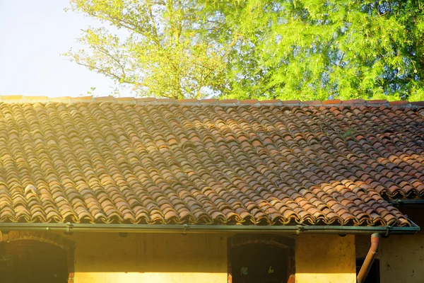 Velho telhado de azulejos vermelhos, close-up e árvore verde no fundo — Fotografia de Stock