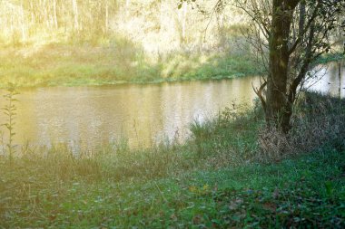 Sonbahar Şehir Parkı sonbahar renkleri, dört mevsim
