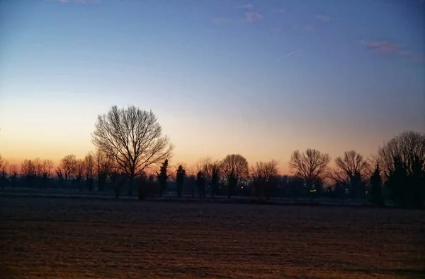 Схід сонця в полі з хмарним небом — стокове фото
