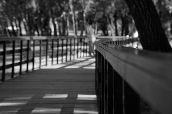 Деревянные перила в общественном парке со скамейкой для газона и зеленым деревом, место для отдыха . — стоковое фото