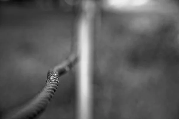 Silná ocelová lana zblízka. Most prvek plotu. Detailní pohled. Povrch ocelového lana je pokryt rzí. — Stock fotografie