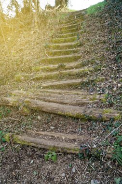 Ahşap merdivenlerden, yosunlardan, ahşap merdivenlerden