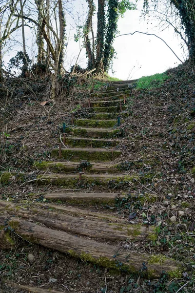 Ahşap merdivenlerden, yosunlardan, ahşap merdivenlerden — Stok fotoğraf