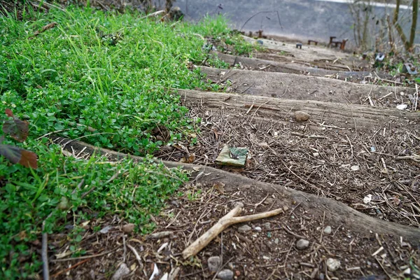 Escalones de madera de tronco y musgo, escaleras de madera —  Fotos de Stock