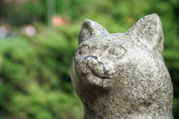 Taştan kedi heykeli. Şanslı kaya kedi kafası
