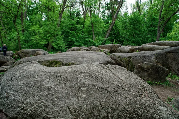 Botanische Zen Stone tuin met water druppels en rotsen. — Stockfoto