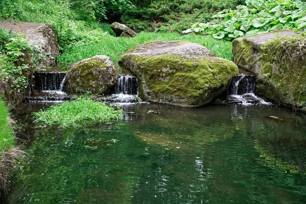Piedras jardín humor fresco para la meditación oasis verde . — Foto de Stock