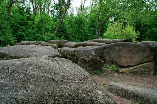 Botanische Zen Stone tuin met water druppels en rotsen. Stockfoto