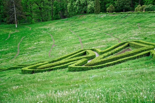 Labirinto verde e jardim caminho de pedra com grama crescendo entre as pedras. Detalhe de um jardim botânico — Fotografia de Stock