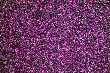 Fuşya gül çakıl güzel desen, çakıl doku oluşturmak