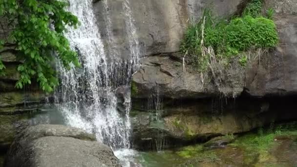 Air terjun di taman umum, aliran air yang cepat. — Stok Video