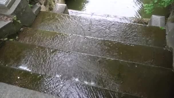 Rapides cascades dans le parc public, eau en streaming rapide . — Video