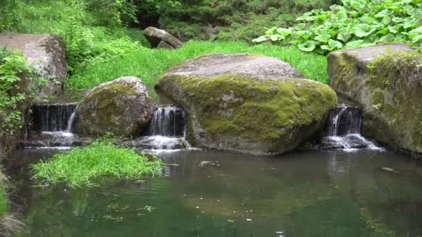Waterfall in public park, fast streaming water. — Stock Video
