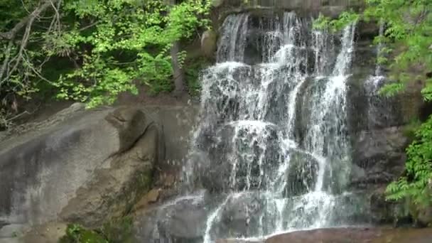 Cascata nel parco pubblico, acqua in streaming veloce . — Video Stock