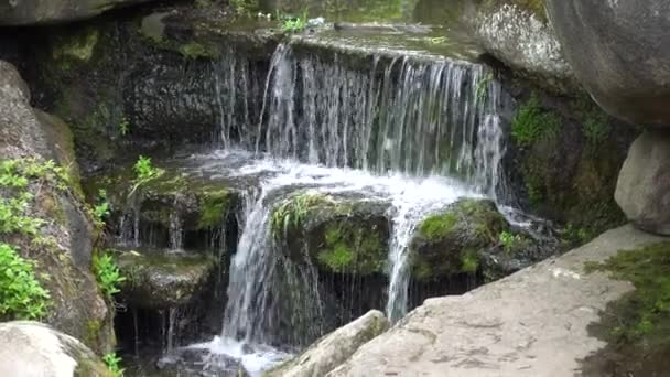 Cascata nel parco pubblico, acqua in streaming veloce . — Video Stock