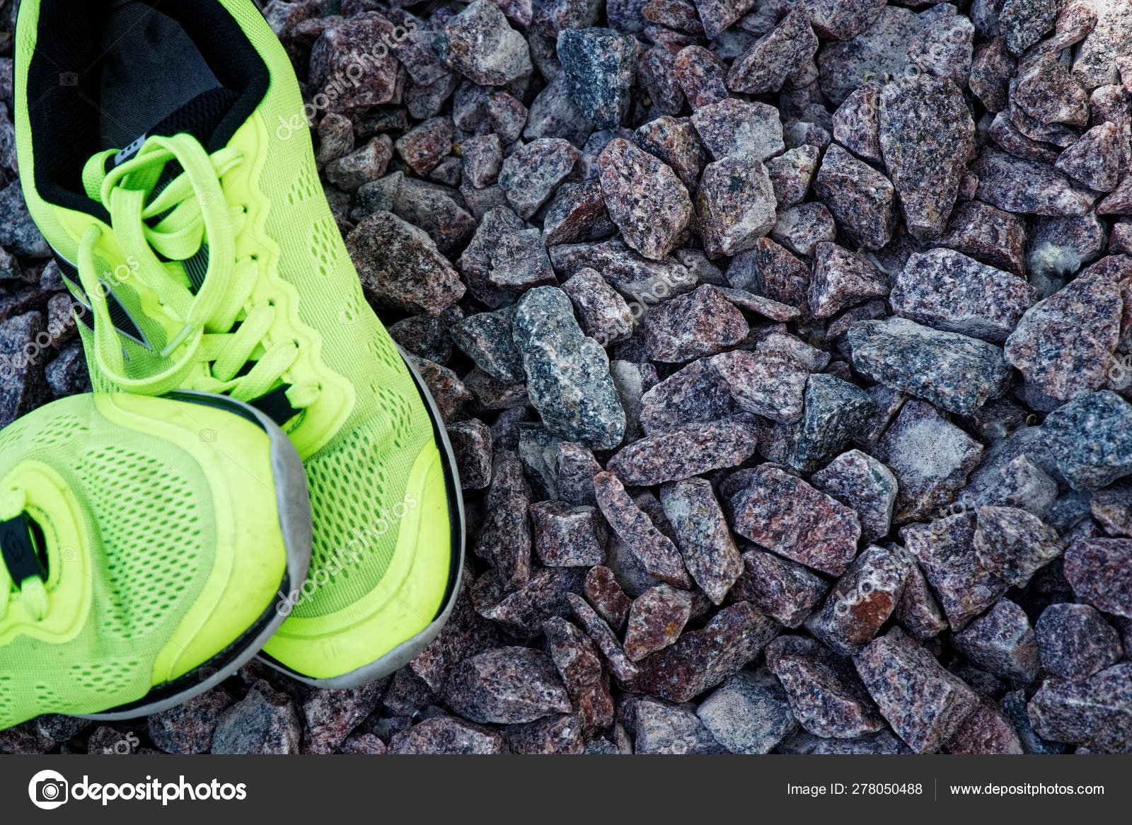 sneaker park website