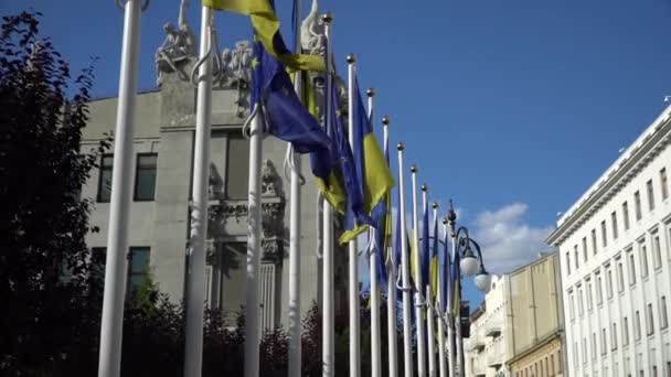 Dua bendera Ukraina dan Uni Eropa berkibar di udara dengan latar belakang langit. Konsep kerjasama, persahabatan antara Ukraina dan Uni Eropa — Stok Video