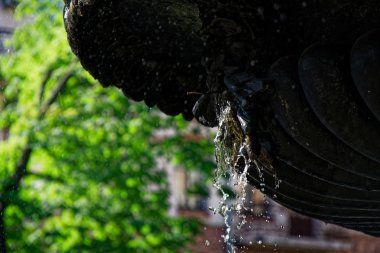 Güneş ışığındaki çeşme. Parkta borudan köpüklü su fışkıran çeşmeler