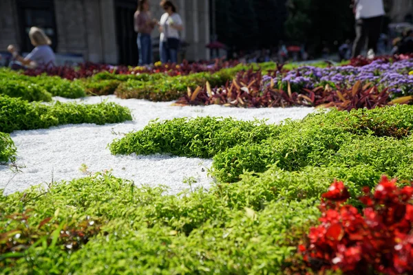 Cama de flores com diferentes flores e decoração na grama — Fotografia de Stock