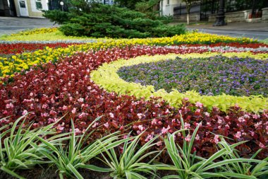 Çim üzerinde farklı çiçekler ve dekorasyon ile Çiçektar