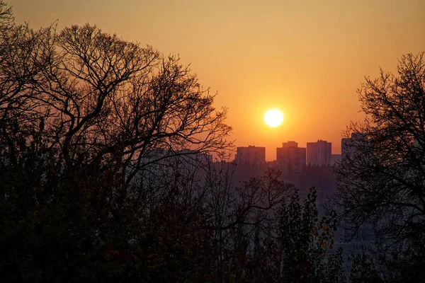 日落和城市景观 黄昏时市区鸟瞰全景 — 图库照片