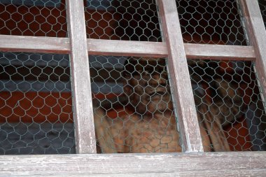 Zırhlı bir savaş tanrısı olan Bishamonten Heykeli. Ya da kötülerin cezalandırıcısı..