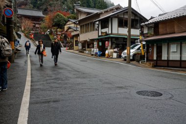 Pagoda 'ya parktaki ağaçlarla giriş..