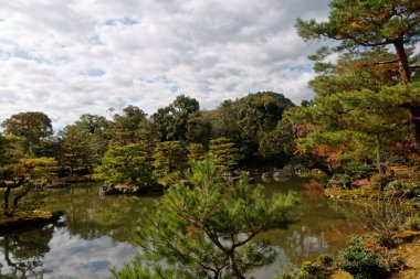 Tokyo sonbaharda çok temiz bir halk parkı renkli yapraklarla, Japon kültürüyle.