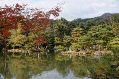 Tokyo sonbaharda çok temiz bir halk parkı renkli yapraklarla, Japon kültürüyle.