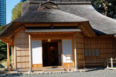 Ağaçlar mavi gökyüzüne karşı. Sıcak sonbahar güneşi yüksek ağaçların gölgesinde parlıyor..